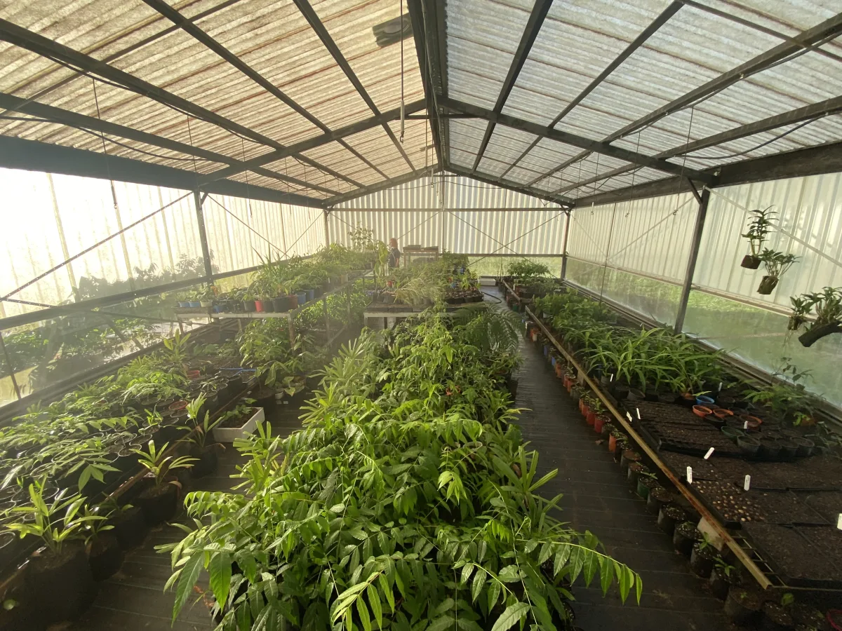 Traceable Calculations