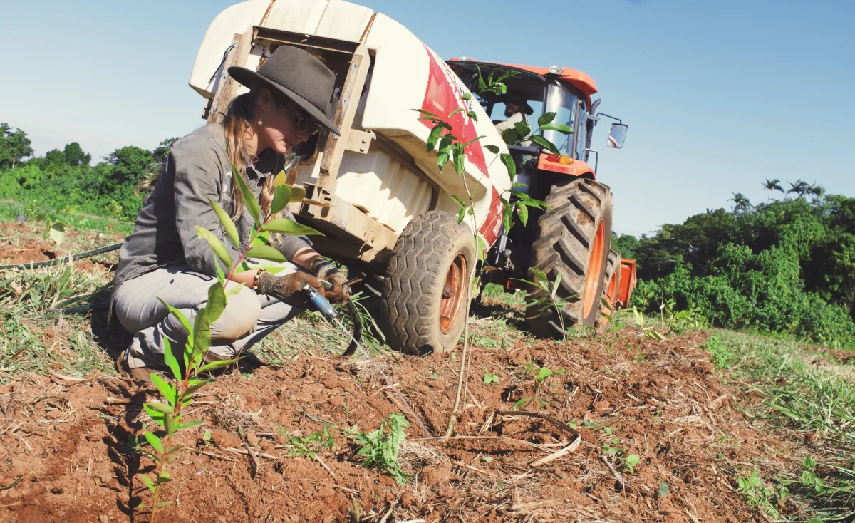 Ground-truthing work