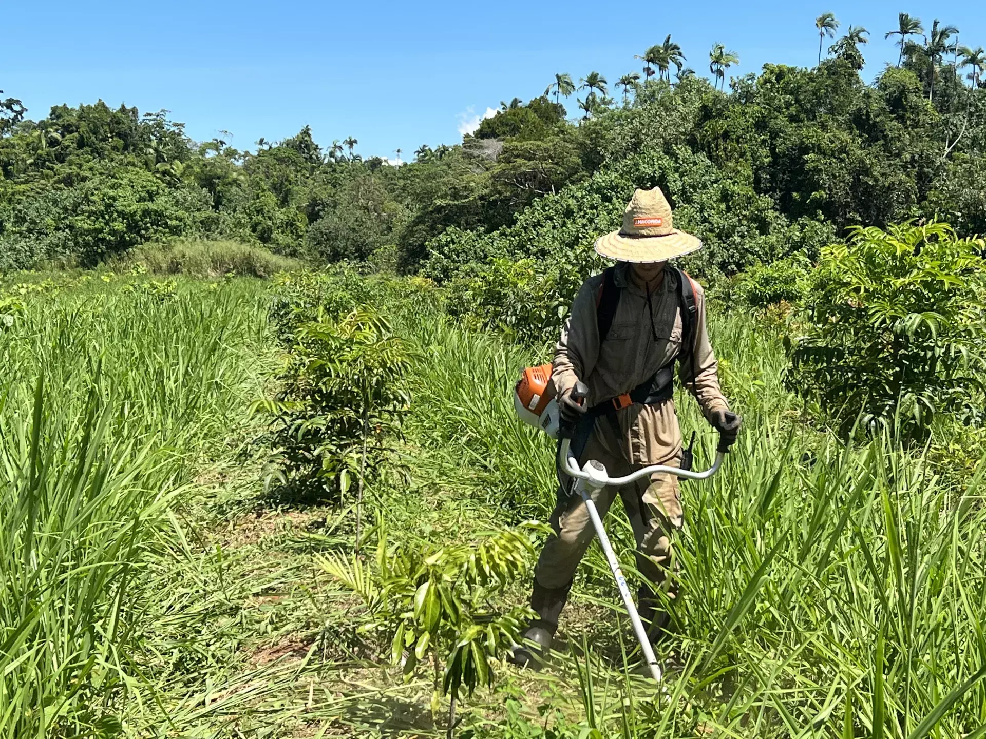 Conservative Estimates